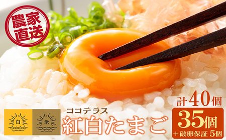 ココテラスの紅白たまご　35個 + 5個保証（計40個）【JGAP認証】 農家直送 新鮮 卵 タマゴ 赤卵 白卵 玉子 鶏卵 朝食 夕食 夜食 朝ごはん たまご焼き だし巻き卵 オムレツ 卵ご飯 料理 濃厚 飼料にこだわった 卵かけご飯 米たまご 生卵 大容量 お取り寄せ 愛知県 常滑市