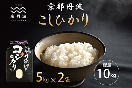 【京丹波の米】京丹波こしひかり 10kg 令和6年産【 京丹波産 コシヒカリ  定期便  お米  米  白米  京都 】 ※北海道・沖縄・その他離島は配送不可 [015MB001]