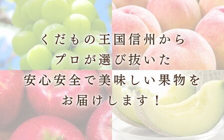 JAうえだから仕入れています りんご 秋映　あきばえ 3kg 贈答用 信州 フルーツ 果物