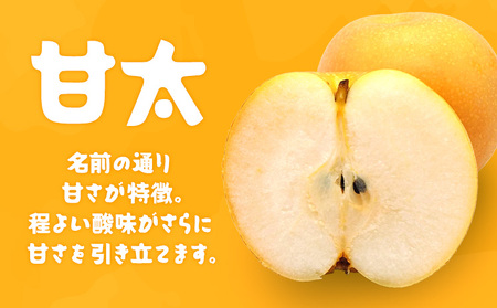 【2024年先行予約】石川梨・ぶどう園 梨 （甘太 かんた） 約5kg 数量限定 ※9月下旬以降発送 ナシ 果物 フルーツ 甘い 果汁 高糖度 晩生品種 お届け：2024年9月下旬～10月上旬