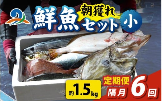 【定期便　隔月６回】【朝獲り】漁師厳選 鮮魚セット (小) 3種類以上 約1.5kg 魚 詰め合わせ　 鮮魚ボックス 頒布会 直送  鮮魚 新鮮 煮物 焼き物 お造り 刺身 晩酌 食卓 BBQ 急速冷凍 真空パック 鮮魚セット 詰合せ 鮮魚店 厳選 お任せ 鮮度 産直 海鮮 加熱用 福井県 南越前町 越前 盛り合わせ おまかせ お楽しみ おつまみ おかず 送料無料  さへい 河野 越前 北陸