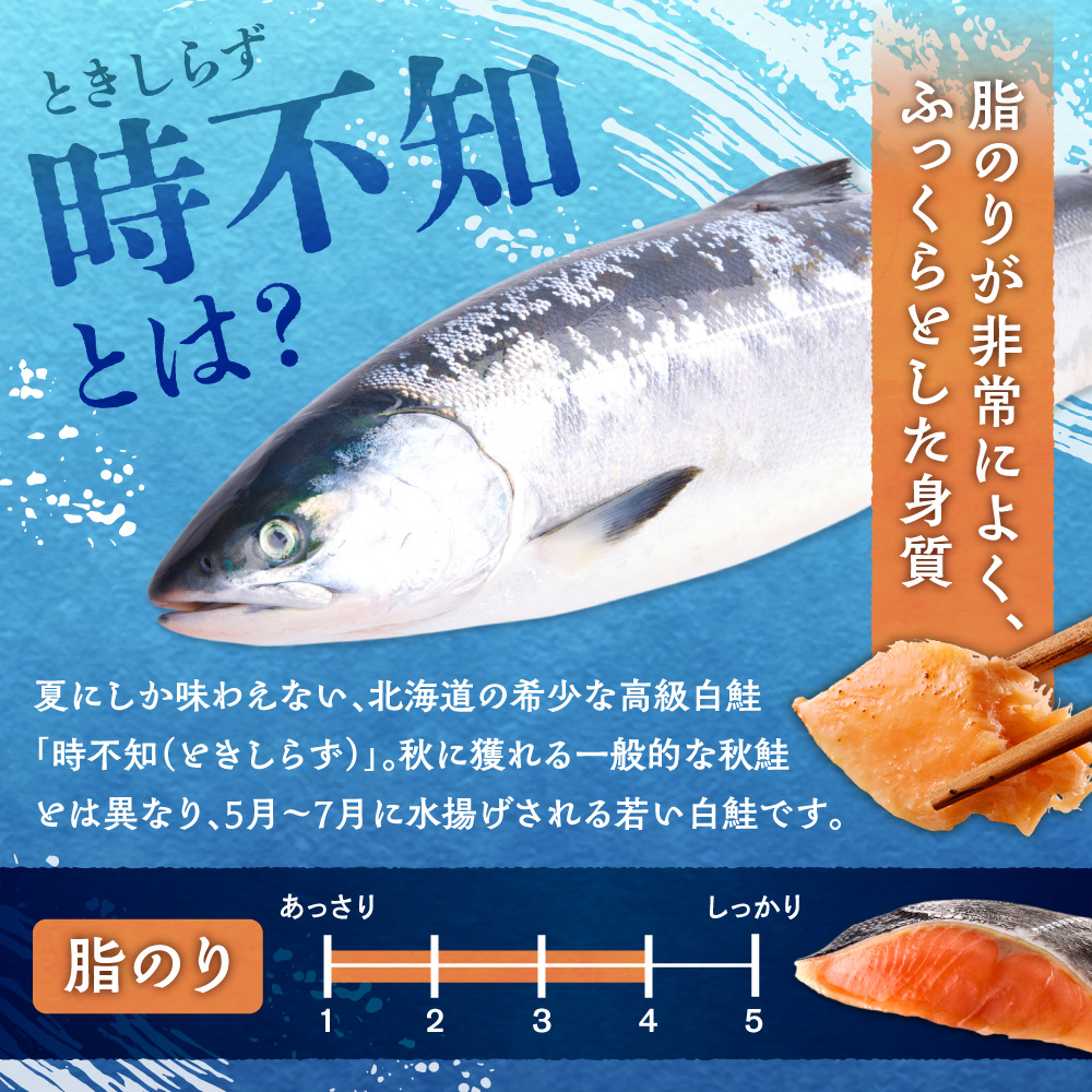 鮮度の良い時不知鮭だけを厳選！鮭乃丸亀　熟成中辛鮭（活〆時不知）切身