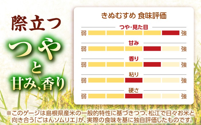 令和8年産 新米 米 きぬむすめ 松江市産 ごはん ソムリエ厳選 減農薬 5kg 白米 島根 お米 ギフト お歳暮 産地限定 