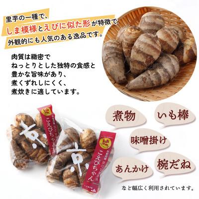 ふるさと納税 京都府 えびいも(こえびちゃん)300g × 10袋 計3kg 京野菜 小分け 煮物・コロッケ・天ぷら等に |  | 02