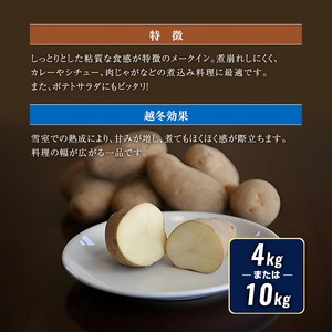 北海道産 熟成じゃがいも メークイン 4kg  期間限定 雪室貯蔵 十勝産 ジャガイモ じゃが芋 いも 甘い