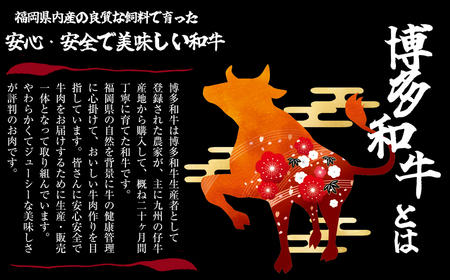 Ｍ545 福岡県産 ブランド牛 博多和牛 100％ 切り落とし (モモ・バラ・ウデ混合) 500g×2パック 計1000g