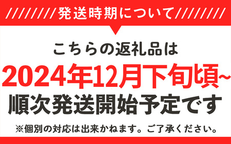 66-49フルーツミニトマト1kg