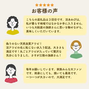 活あわび 特大サイズ 2個 約300g 冷蔵 あわび