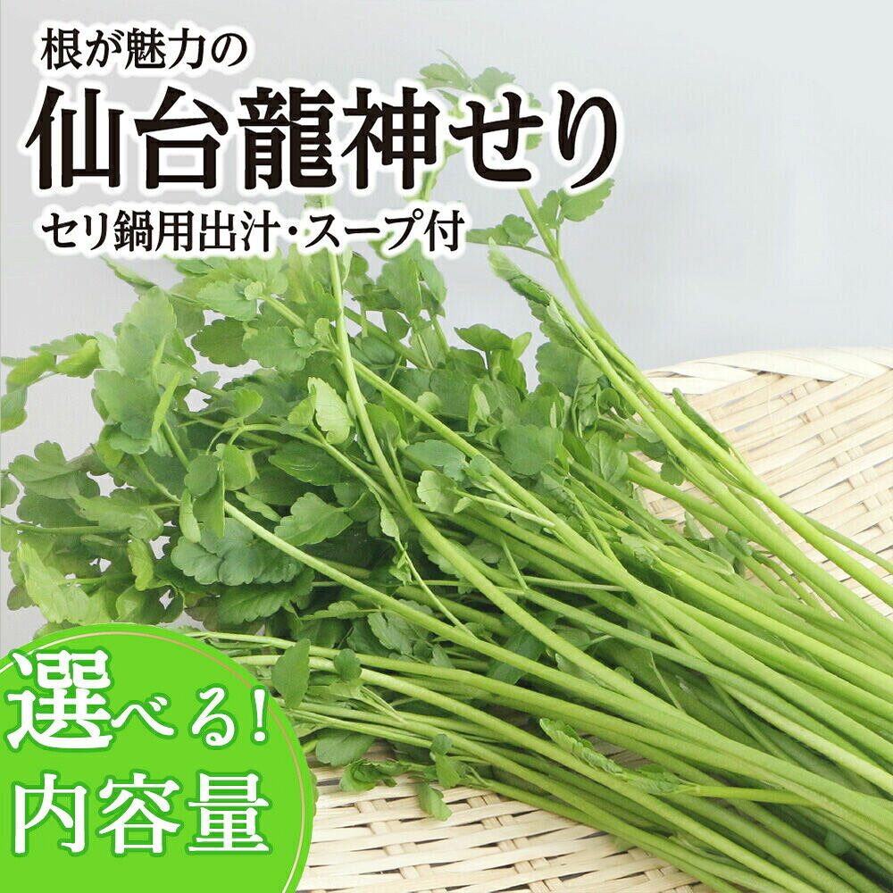 【ふるさと納税】【期間限定】根が魅力の仙台龍神せり鍋出汁セット（セリ鍋用出汁・スープ付）【選べる種類 2〜10人前】 [せり鍋 仙台名物 冬 ごちそう 惣菜 セリ]