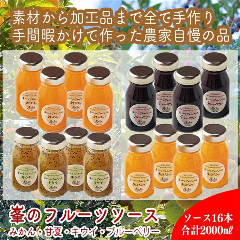 スイスで加工品を学んだ農家が作った手づくりジャムソース 16本セット 手作りみかん キウイ あまなつ ブルーベリー他 125ml 詰め合わせ ギフト【 家庭用 自宅用 贈答品 贈答用 ギフト お取り寄せ お中元 お歳暮 贈り物 お祝い 神奈川県 小田原市 ジャム ジャム 】