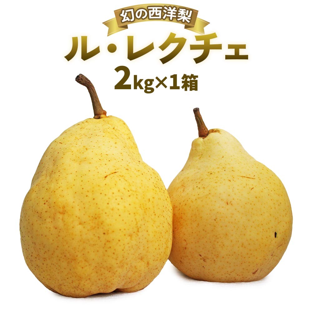 
                  【2026年先行予約】新潟特産 幻の洋梨ル・レクチェ 約2kg 《12月上旬～順次出荷》 果物 フルーツギフト 冬の味覚 産地直送 加茂市 西村農園
                