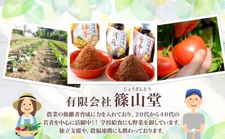 自家栽培大豆の手作り味噌詰合せ 味噌 自家製 栽培大豆 手作り 詰め合わせ 調味料 和食 米 大豆 黒豆 柚子 唐辛子 胡麻 麹 大豆 コク 料理 味噌汁 定番 甘味 旨味 蓮田市 埼玉県 篠山堂