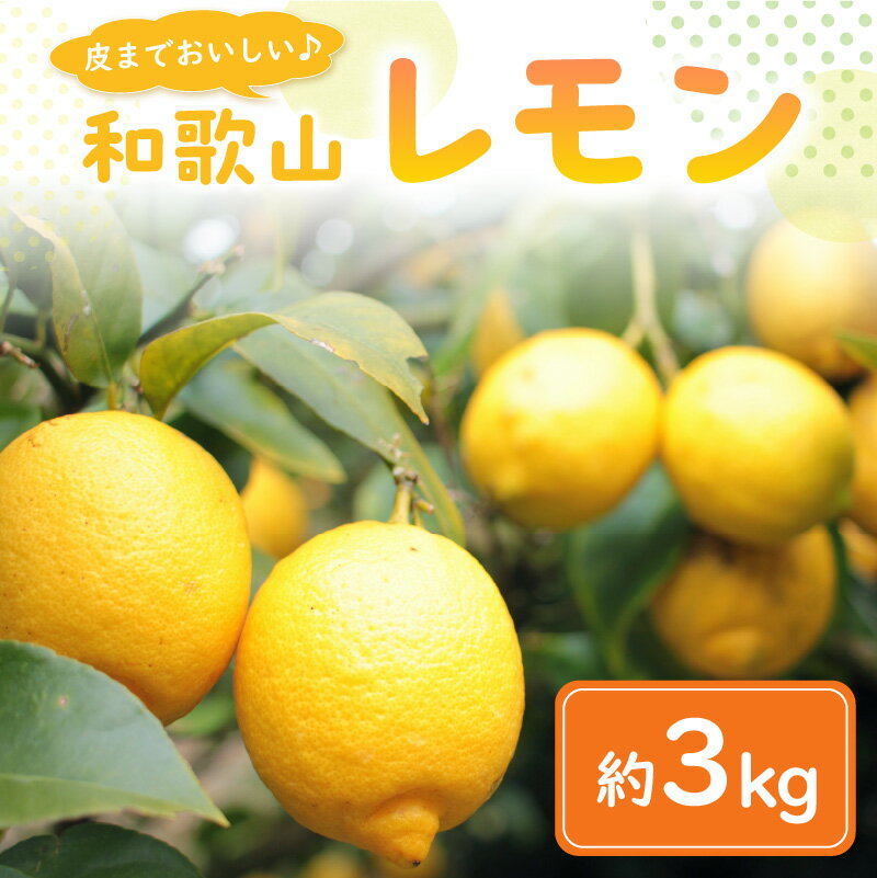 【ふるさと納税】皮まで食べられる　和歌山産レモン【約3kg】 レモン 檸檬 柑橘 フルーツ 果物 くだもの 国産 和歌山≪先行予約2026年2月頃より順次発送予定分≫