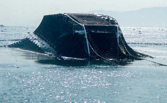 特選むかし海苔10枚入り×2袋セット