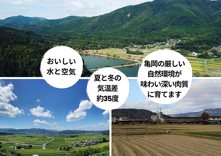 「亀岡牛」サーロインステーキ　3枚（600ｇ） ☆祝！亀岡牛 2023年最優秀賞（農林水産大臣賞）受賞