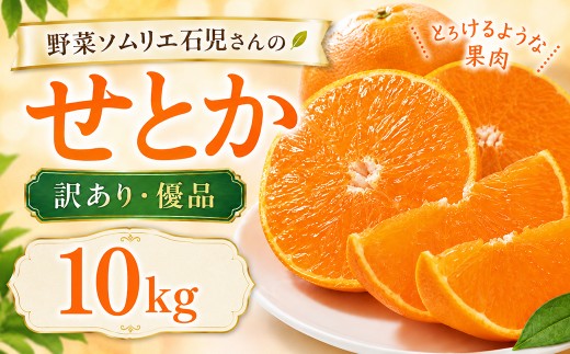 【2027年先行予約】【訳あり・優品】野菜ソムリエ石児さんの「せとか 10kg」 ／ せとか みかん セトカ ミカン 蜜柑 柑橘 10kg 柑橘類 10キロ 訳あり ワケアリ フルーツ 先行予約 2月 3月 2月発送 3月発送＜103-014＞