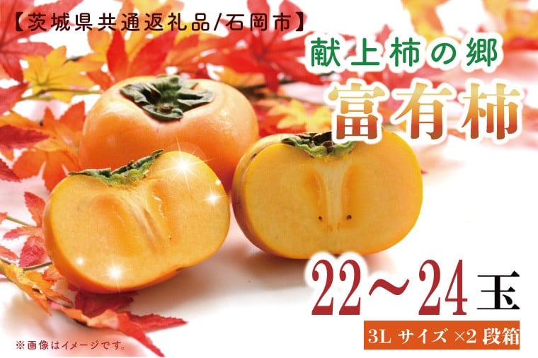 
            【11月中旬より発送】献上柿出荷組合の富有柿3L 22～24玉【茨城県共通返礼品／石岡市】【かき 柿 八郷 果物 フルーツ 茨城県 皇室】（GP-4）
          