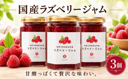 国産 ラズベリー ジャム 3個 セット ラズベリージャム レッドラズベリー jam ヨーグルト おやつ デザート フルーツ くだもの 朝 パン 朝食 プレゼント 贈り物 ギフト ビタミンC  美容 スムージー フランボワーズ ニッポンルーバス 神奈川 海老名
