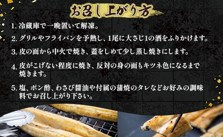 高知県産うなぎの白焼き 150～180ｇ×4尾 - エコ包装 国産 うなぎ 白焼き 鰻 冷凍 高知 yw-0059