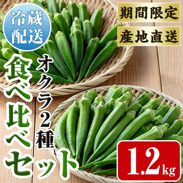 いずみ産 オクラ 2種 食べ比べ 1.2kg 【イーサイドライン】 i1217-B