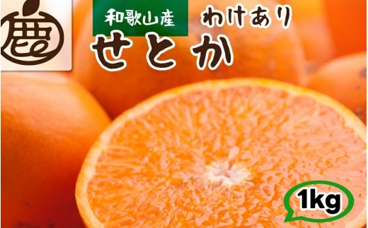 
                  家庭用 せとか 1kg+250g（痛み補償分） 光センサー【ikd014-c-1A】
                