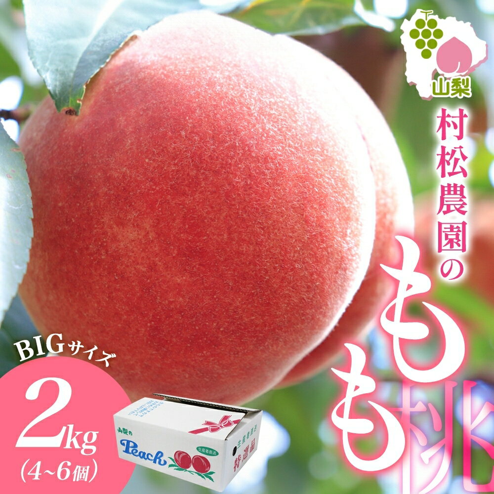 【ふるさと納税】山梨県 笛吹市産 桃 2kg ふるさと納税 桃 もも モモ 白桃 2kg 4〜6玉 旬 産地直送 国産 新鮮 果物 人気 美味しい 贈答 ギフト 贈り物 お中元 プレゼント 山梨県 笛吹市 177-5-001