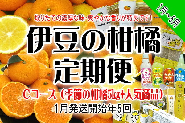 
東伊豆産　伊豆の柑橘　定期便　Cコース　E014／収穫体験農園ふたつぼり　はるか　伊予柑　オレンジ　甘夏　みかん　静岡県　東伊豆町
