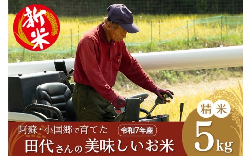 【田代農園】令和7年産 新米 精米 5kg 田代さんのお米 銘柄おまかせ あきげしき ひのひかり こしひかり 産直 ノンブレンド米 単一原料 お米 白米 精白米 ヒノヒカリ コシヒカリ 熊本 阿蘇 小国町 産地直送 国産 日本産 地場産 贈答
