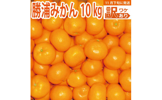谷内青果 早生みかん 訳あり 10kg