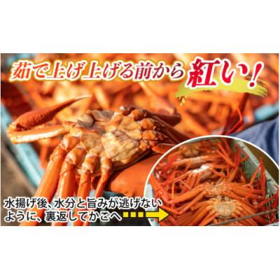 ふるさと納税 滑川市 【冷凍】ボイル紅ズワイガニ【大サイズ】700g前後×2杯 |  | 02