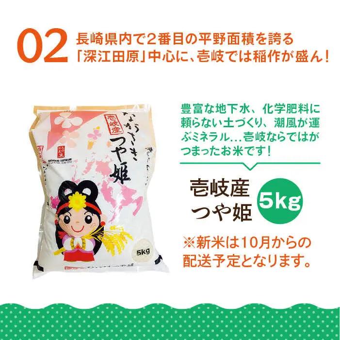 【全6回定期便】壱岐産米つや姫5kg・旬の野菜5品《壱岐市》【壱岐市農業協同組合】 [JBO048] 野菜 食材 夏野菜 セット 野菜セット スムージー 米 お米 つや姫 ご飯 旬 鮮度 新鮮 定期便