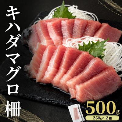 ふるさと納税 東洋町 キハダマグロ 柵 500g