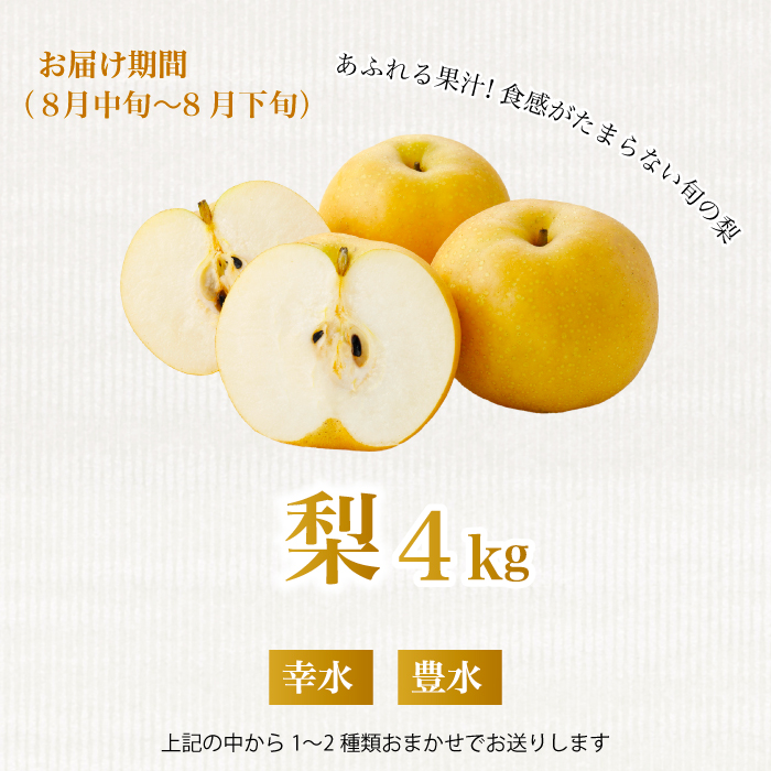 《2026年度先行受付》【フルーツ定期便全5回】 大容量 さくらんぼ 梨 ぶどう りんご いちご 2026年6月～発送 豪華フルーツ 詰め合わせ 採れたて 新鮮 産地直送 果物 広島県 三原市 059