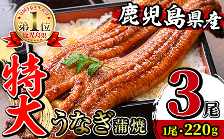 鹿児島県産 うなぎ蒲焼 特大 サイズ 3尾 （約220g×3・計約660g）【薩摩川内鰻】 i1078-B