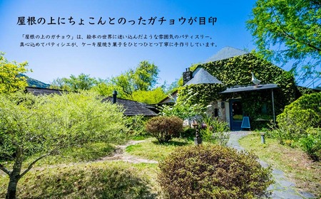 クッキー 詰め合わせ 3種26枚入り｜屋根の上のガチョウ Cセット 洋菓子 クッキー