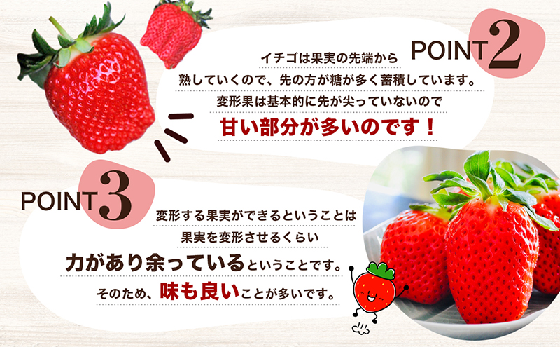 【 小豆島 】【配送エリア限定商品】＜ 訳あり ・ 大粒 ＞ 小豆島産 変形果いちご 1.4kg いちご 苺 イチゴ 女峰 女峰いちご 変形 果物 フルーツ くだもの 香川 香川県 土庄 土庄町