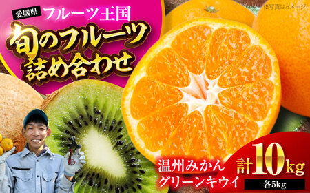 【先行予約】【12月上旬より順次発送】フルーツ セット 温州みかん 5kg グリーンキウイ 5kg （約40から50玉）  愛媛県大洲市/玉川農園[AGBC009] 果物 みかん ミカン キウイ キウイフルーツ