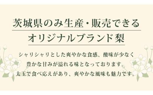 【2026年9月上旬発送開始】 茨城県 オリジナル 幻の 高級梨 『 恵水 』 約 5kg 7玉 ～ 12玉 【茨城県共通返礼品／常陸太田市】 桧山果樹園 [DU008sa]