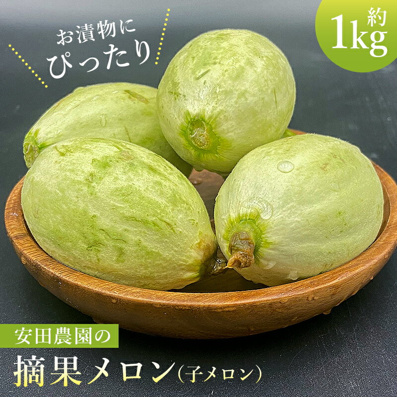 【ふるさと納税】 お漬物にぴったり　安田農園の摘果メロン（子メロン） 千葉県 南房総市 お取り寄せグルメ お取り寄せ 送料無料