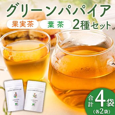 ふるさと納税 宮崎県 グリーンパパイアティー 2種 セット (果実茶&amp;葉茶) ティーバッグ 計4袋 宮崎県産