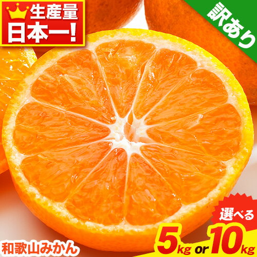 【ふるさと納税】【楽天限定】みかん王国和歌山よりお届け！【訳あり/サイズ不選別】 和歌山みかん 選べる 内容量 5kg 約10kg 和歌山県産 先行予約 《2025年11月中旬-1月中旬頃出荷》たっぷり ご家庭用 2L〜2S みかん 旬 蜜柑 ミカン 柑橘 果物 フルーツ 和歌山県 紀の川市