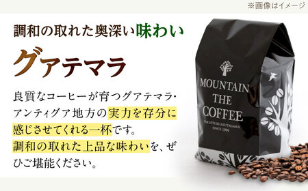 【スピード発送】グアテマラ アルト・デ・メディナ農園  600g 細挽き コーヒー 珈琲 豆 粉 コーヒー豆 コーヒー粉 ドリップ ギフト 大阪府高槻市/自家焙煎コーヒー マウンテン[AOEL094]