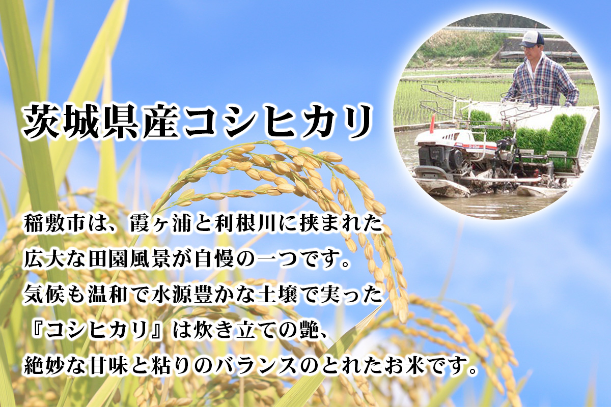 新米【定期便／3ヶ月 令和7年産】コシヒカリ 白米 計30kg (5kg×2袋×3ヶ月) 茨城県産 お米の王様！｜おこめ 精米 こしひかり 直送 稲敷 茨城 [1777]