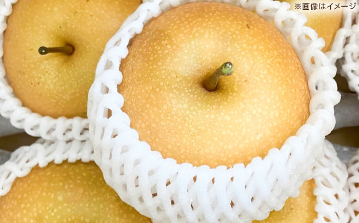 【先行予約】 新高梨 秀 約2.4kg（3玉） 〈2026年9月20日～2026年10月末発送〉 【川渕果樹園】 [ATHX006]