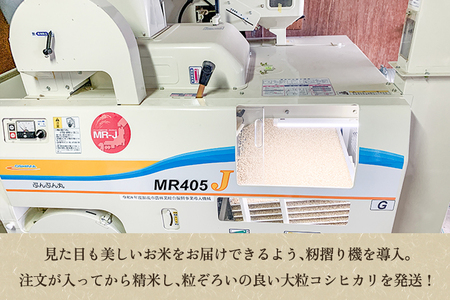 【令和7年産新米先行予約】【定期便3回10月・2月・6月にお届け】新潟県加茂市産コシヒカリ 精米10kg（5kg×2袋） 《10月上旬～順次出荷》 新潟産コシヒカリ 新潟米 お米 ライス ごはん ご飯