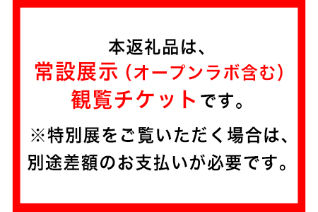 熊本県御船町 御船町恐竜博物館観覧チケット（大人3名様） 《30日以内に出荷予定(土日祝除く)》 御船町恐竜博物館