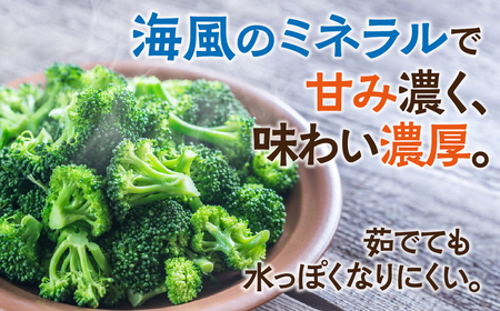 ブロッコリー 5本 ×5回お届け 豊橋 国産 ミネラルたっぷり 海風そだち 潮風 家族で 大容量 豊橋 ともちゃんのやさい 直売所で大人気！ 愛知県 豊橋市 安心野菜