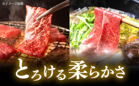 くまもと 黒毛和牛 和王 肩ロース セット（焼き肉用・しゃぶしゃぶ用） 計約800g（各1P）ロース 焼き肉 しゃぶしゃぶ [AYBR045]