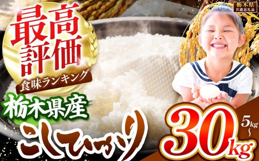 
                  特A こしひかり 栃木県産 白米 選べる容量 5kg ～ 10kg｜ 米 こめ kome お米 ご飯 選べる容量 5kg 10kg 20kg 30kg  人気 お勧め 単一米 ブランド米 大容量 小分け 【 栃木県共通返礼品 】
                