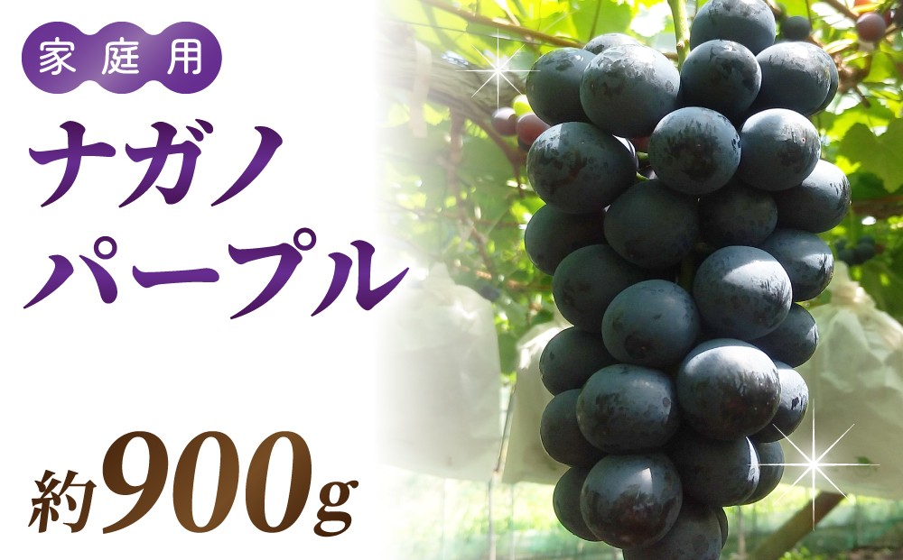 
            ナガノパープル ご家庭用 約900g〜1kg（2〜5房）
          